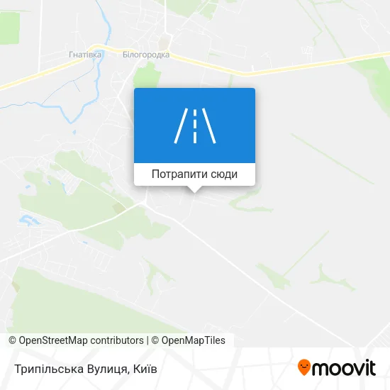 Карта Трипільська Вулиця