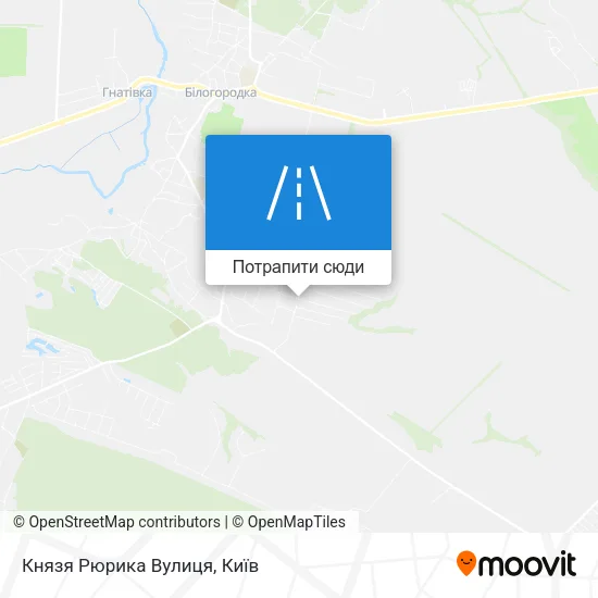 Карта Князя Рюрика Вулиця