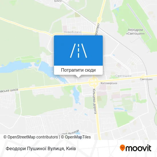 Карта Феодори Пушиної Вулиця