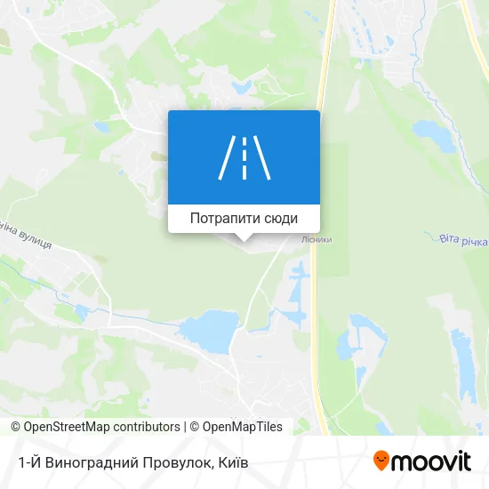 Карта 1-Й Виноградний Провулок