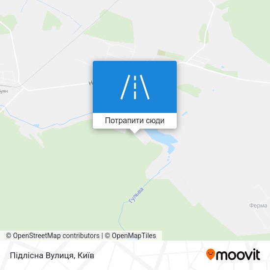 Карта Підлісна Вулиця