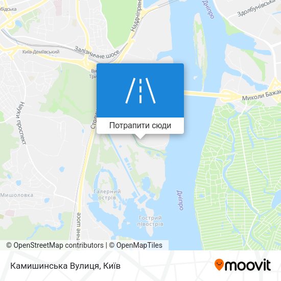 Карта Камишинська Вулиця