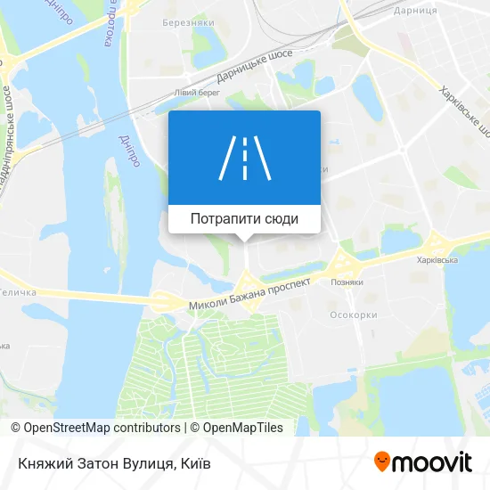 Карта Княжий Затон Вулиця