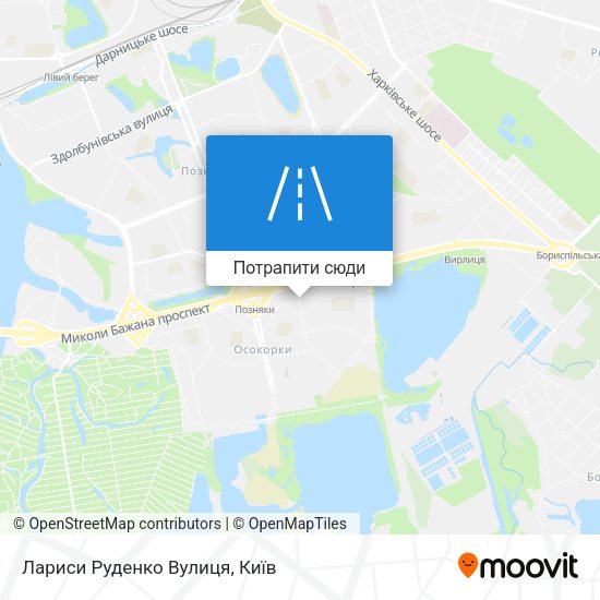 Карта Лариси Руденко Вулиця