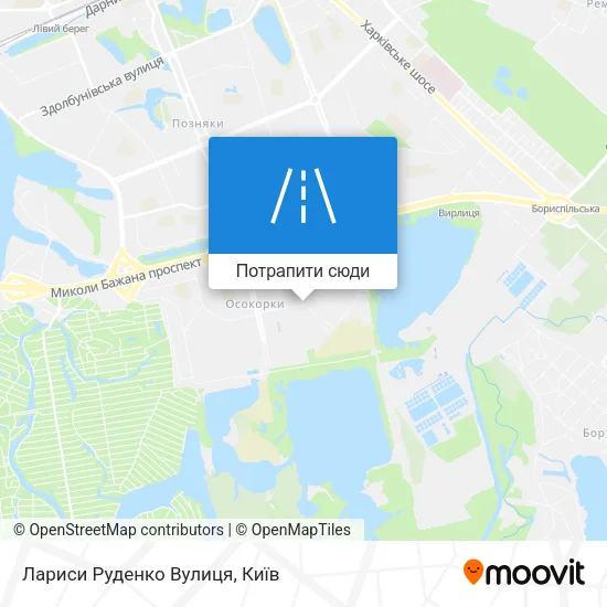 Карта Лариси Руденко Вулиця