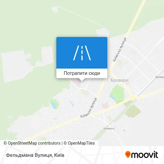 Карта Фельдмана Вулиця