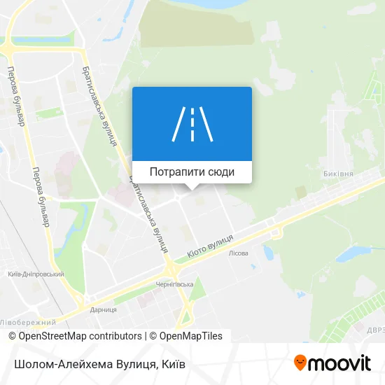 Карта Шолом-Алейхема Вулиця