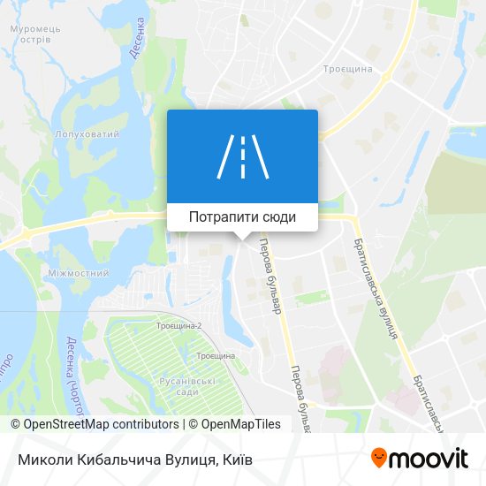 Карта Миколи Кибальчича Вулиця