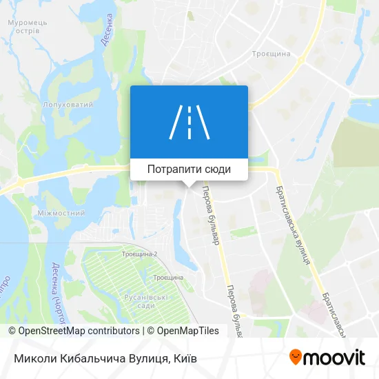 Карта Миколи Кибальчича Вулиця