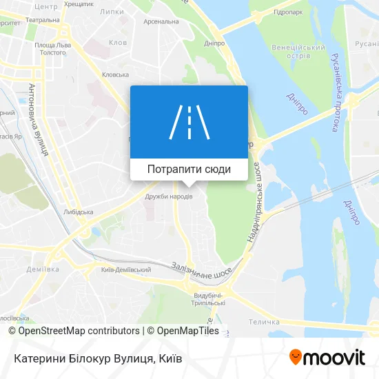 Карта Катерини Білокур Вулиця