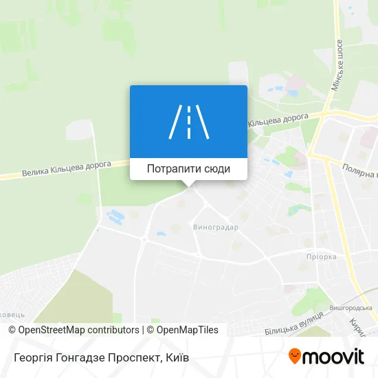 Карта Георгія Гонгадзе Проспект