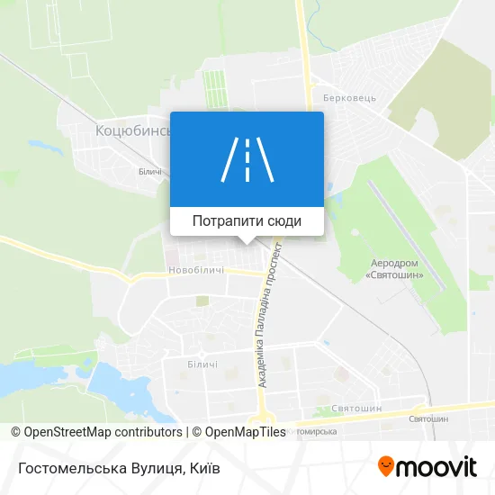 Карта Гостомельська Вулиця