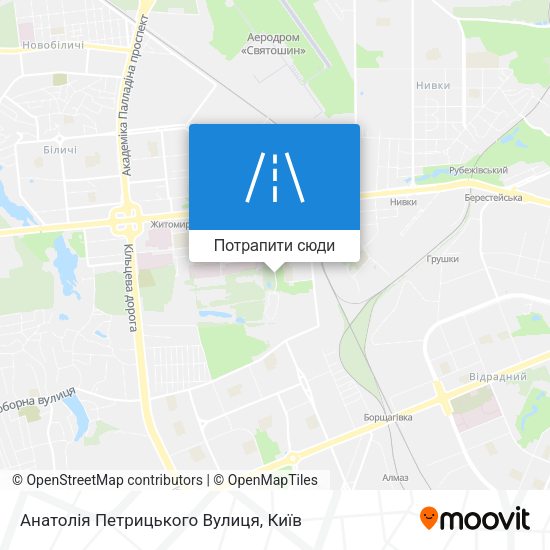Карта Анатолія Петрицького Вулиця