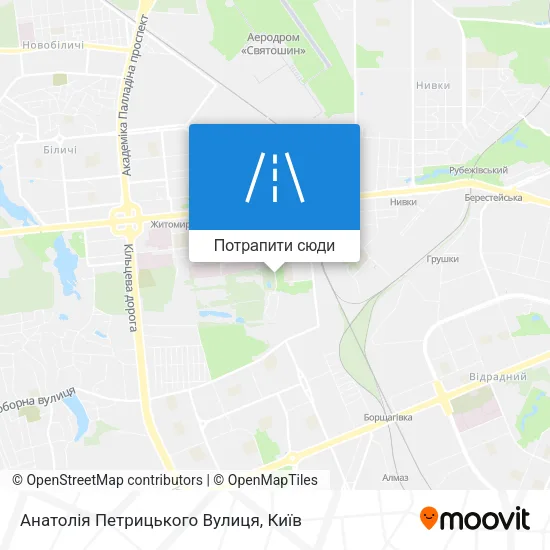 Карта Анатолія Петрицького Вулиця