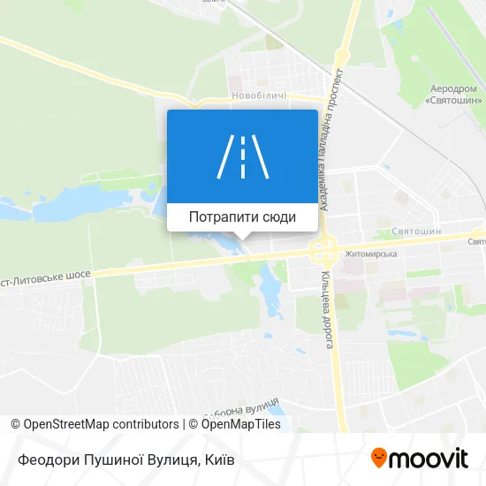 Карта Феодори Пушиної Вулиця