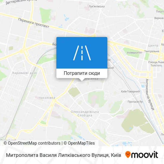Карта Митрополита Василя Липківського Вулиця