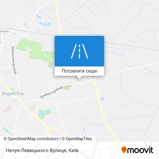 Карта Нечуя-Левицького Вулиця
