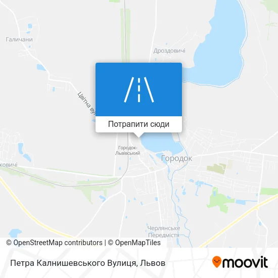 Карта Петра Калнишевського Вулиця