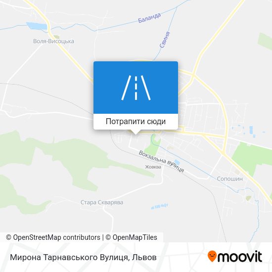 Карта Мирона Тарнавського Вулиця