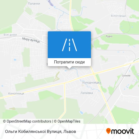 Карта Ольги Кобилянської Вулиця