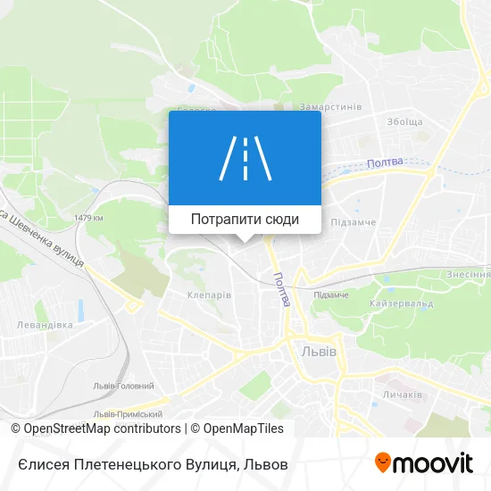 Карта Єлисея Плетенецького Вулиця