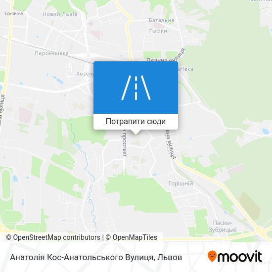 Карта Анатолія Кос-Анатольського Вулиця