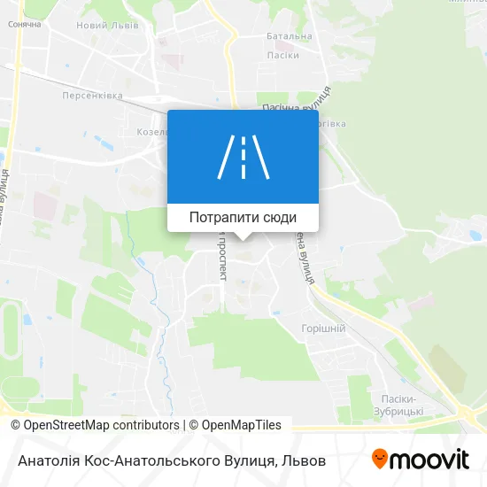 Карта Анатолія Кос-Анатольського Вулиця