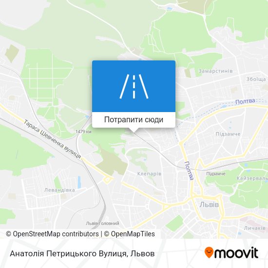 Карта Анатолія Петрицького Вулиця