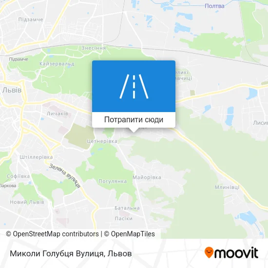 Карта Миколи Голубця Вулиця