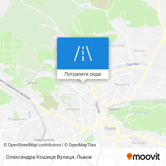 Карта Олександра Кошиця Вулиця