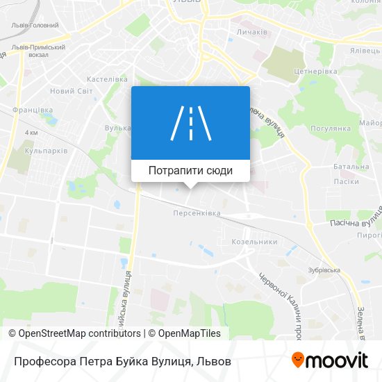 Карта Професора Петра Буйка Вулиця