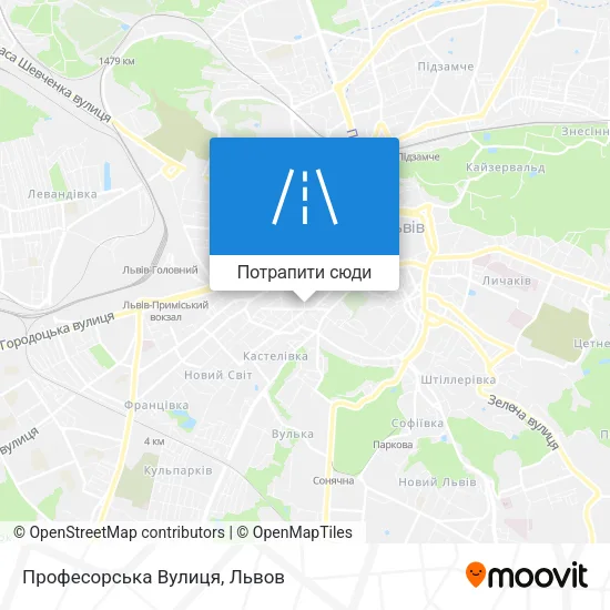 Карта Професорська Вулиця