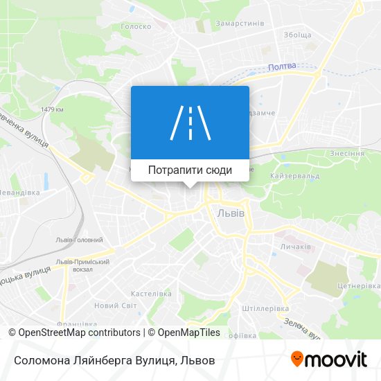Карта Соломона Ляйнберга Вулиця