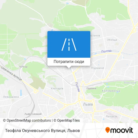 Карта Теофіла Окуневського Вулиця