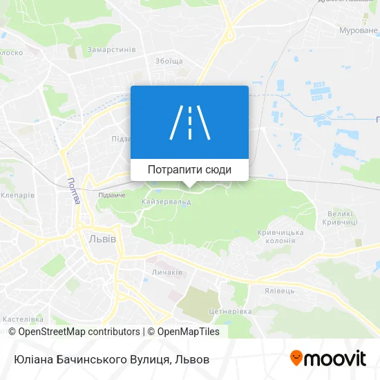 Карта Юліана Бачинського Вулиця