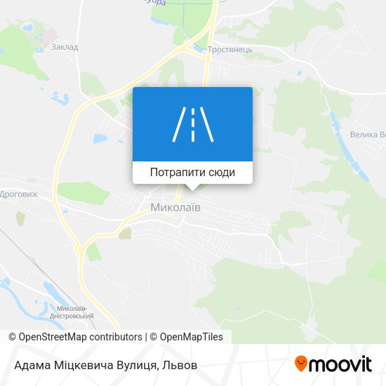 Карта Адама Міцкевича Вулиця