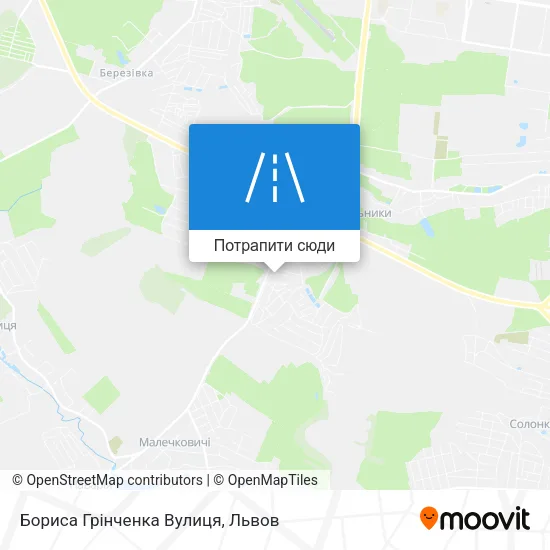 Карта Бориса Грінченка Вулиця