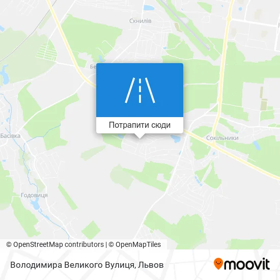 Карта Володимира Великого Вулиця