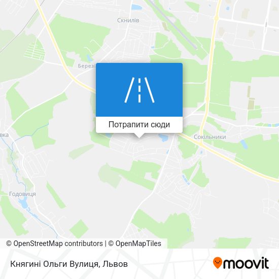 Карта Княгині Ольги Вулиця