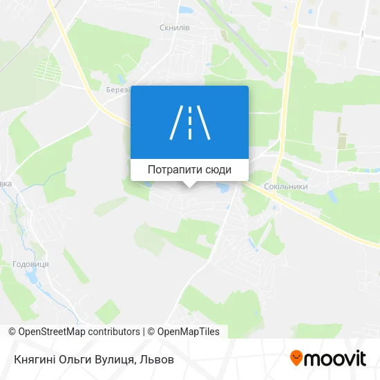 Карта Княгині Ольги Вулиця