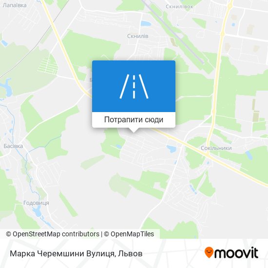 Карта Марка Черемшини Вулиця