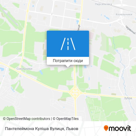 Карта Пантелеймона Куліша Вулиця