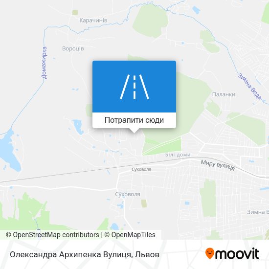 Карта Олександра Архипенка Вулиця