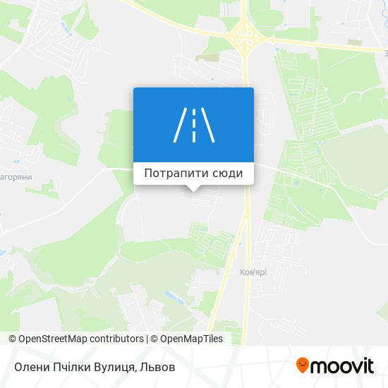 Карта Олени Пчілки Вулиця