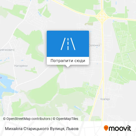 Карта Михайла Старицького Вулиця
