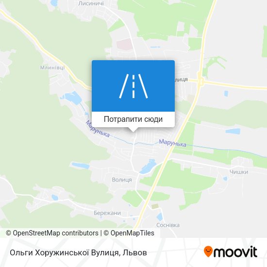 Карта Ольги Хоружинської Вулиця