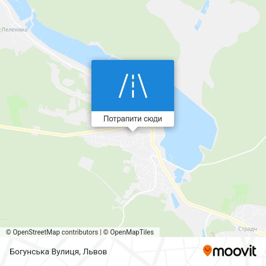 Карта Богунська Вулиця
