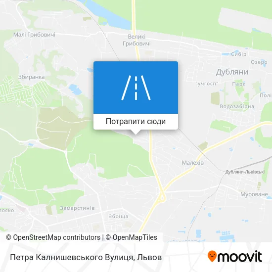 Карта Петра Калнишевського Вулиця