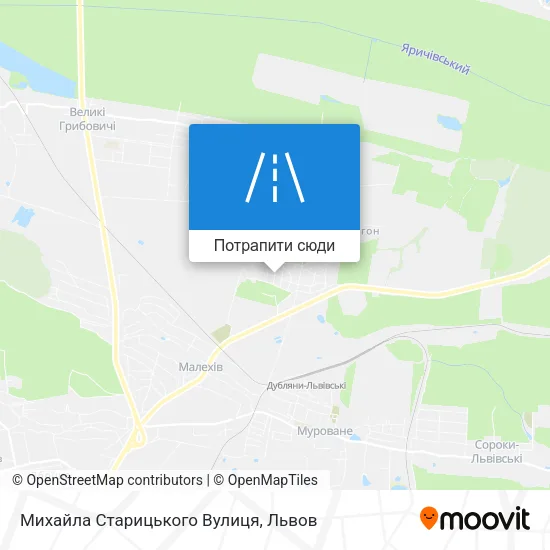 Карта Михайла Старицького Вулиця