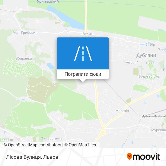 Карта Лісова Вулиця